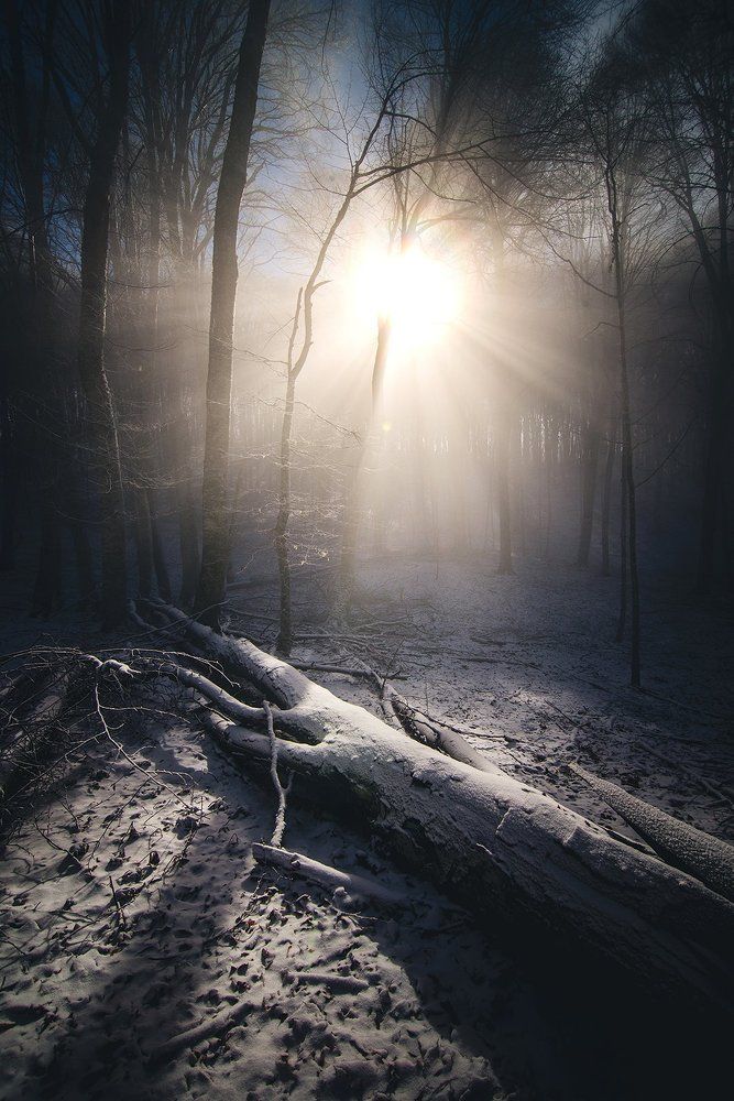 Солнечное мгновение