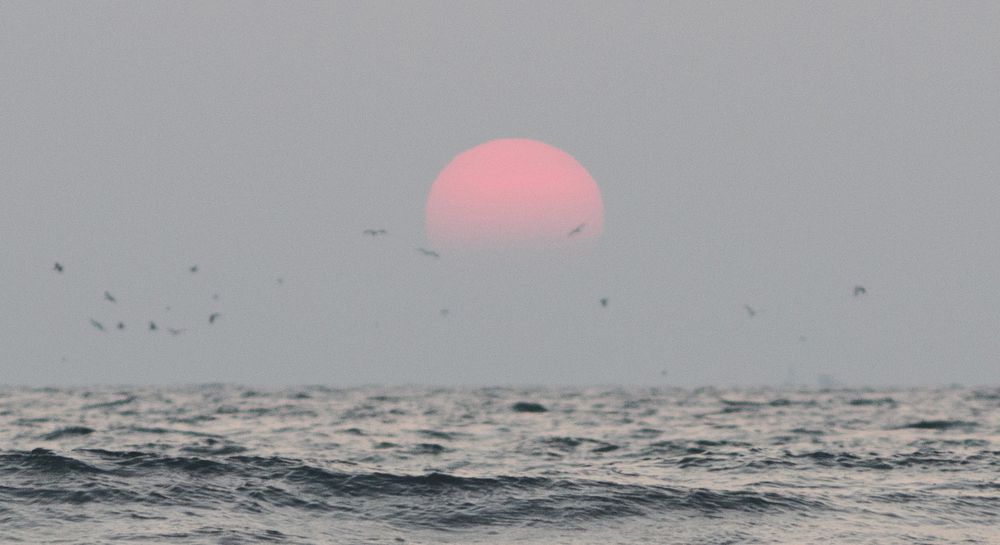 Безмятежность на  Гоа