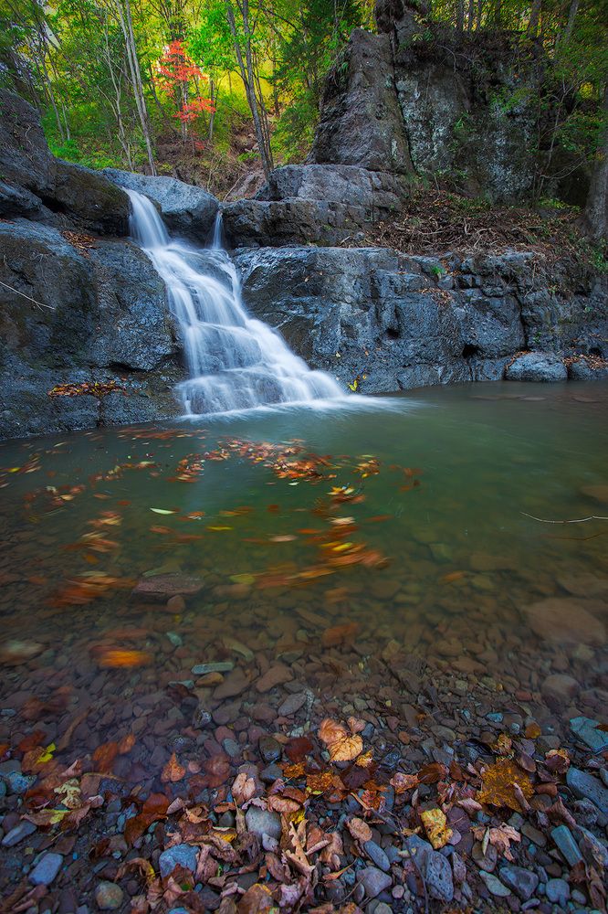 Photograph by Дмитрий Шовтюк