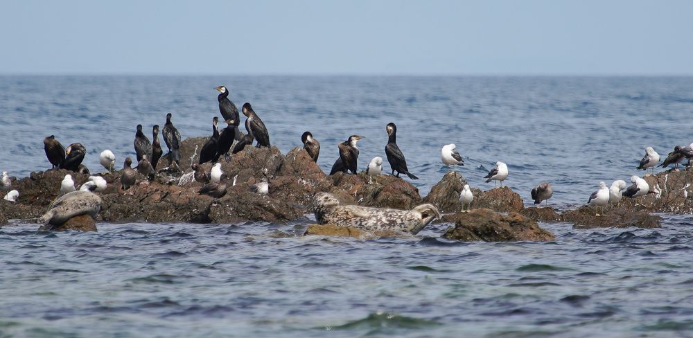 Photograph by Антонов Алексей