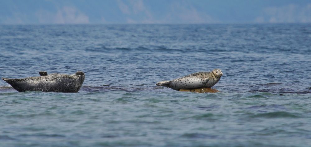 Photograph by Антонов Алексей