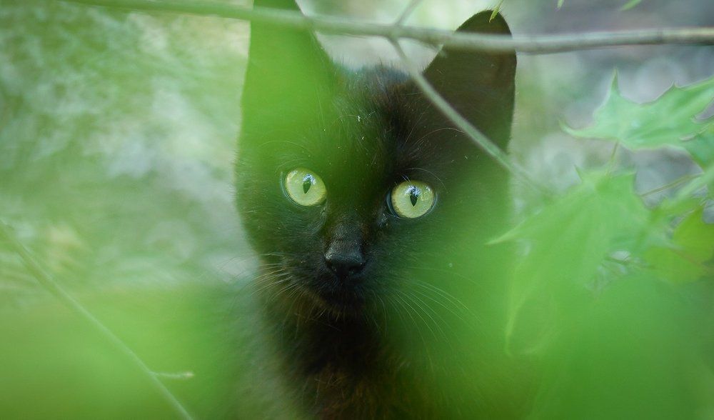 Photograph by Антонов Алексей