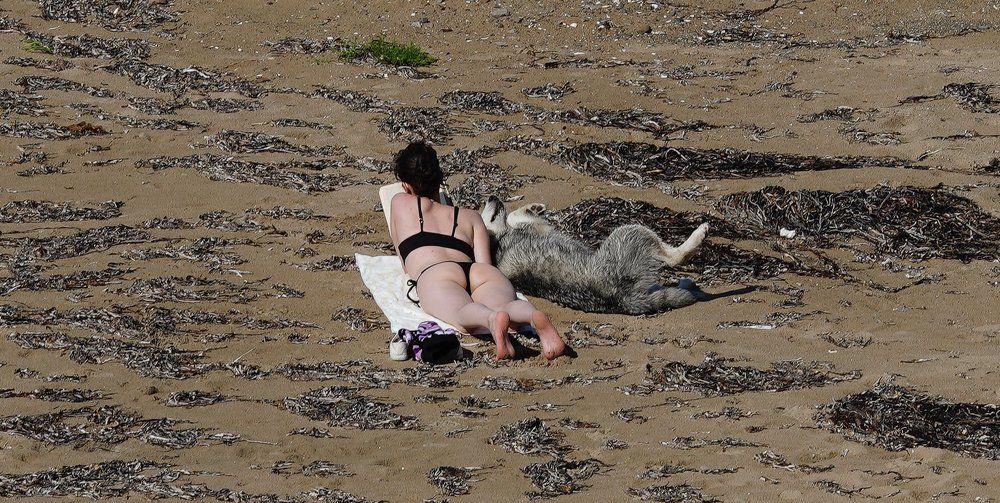 Photograph by Антонов Алексей