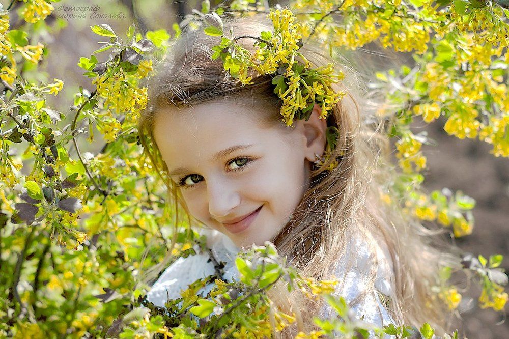 Милая Соня.