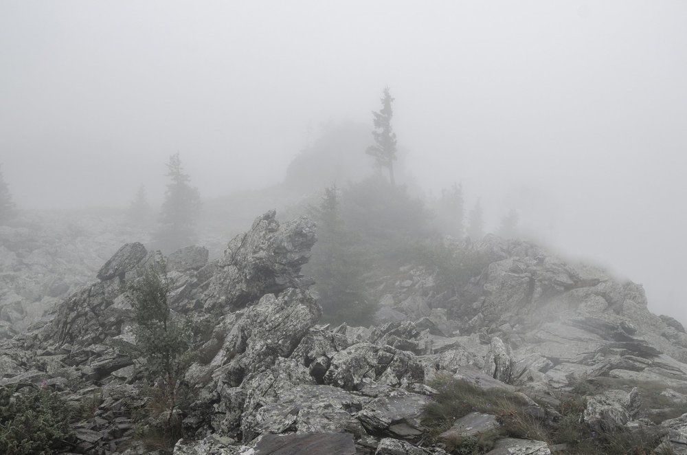 Photograph by Иван Игнатов