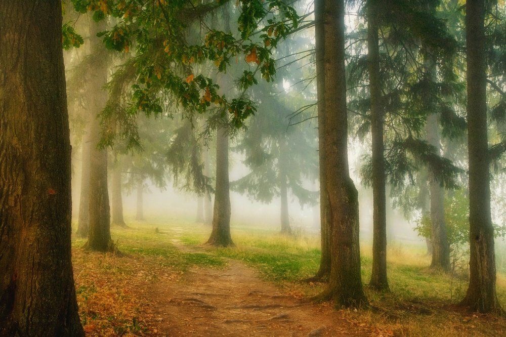 Полутень и полусвет