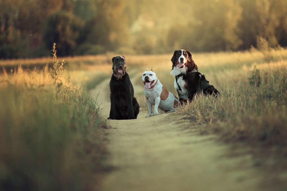 Photograph by Ирина Микульская