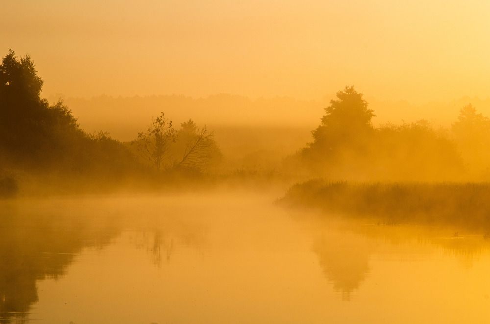 Photograph by Евгений Новицкий