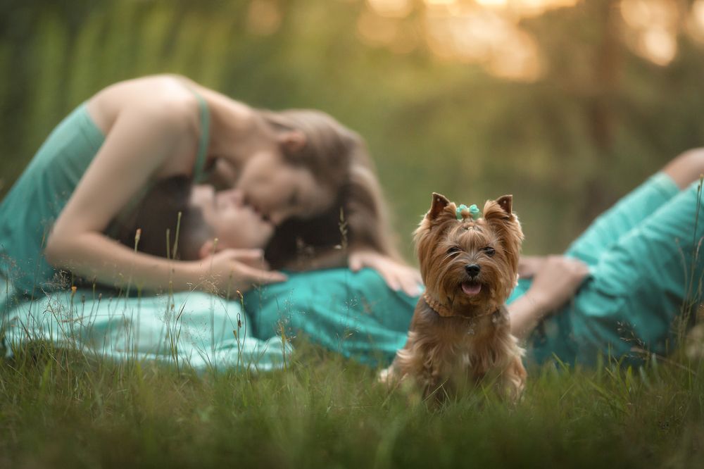 Photograph by Arma Gray