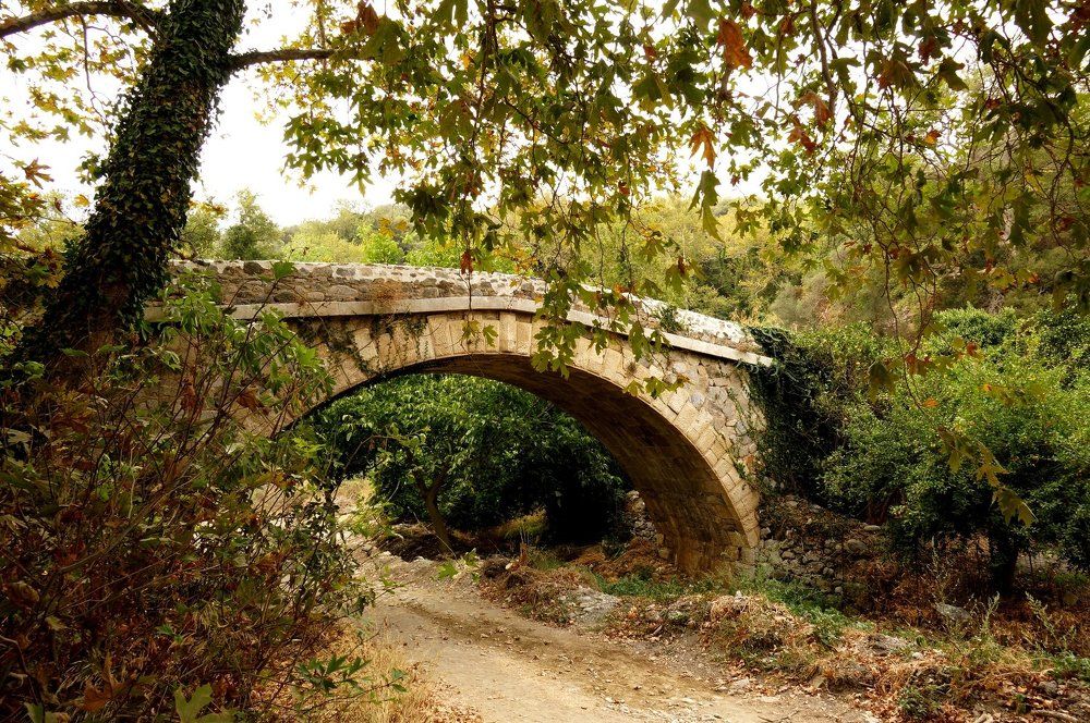 Мост в прошлое