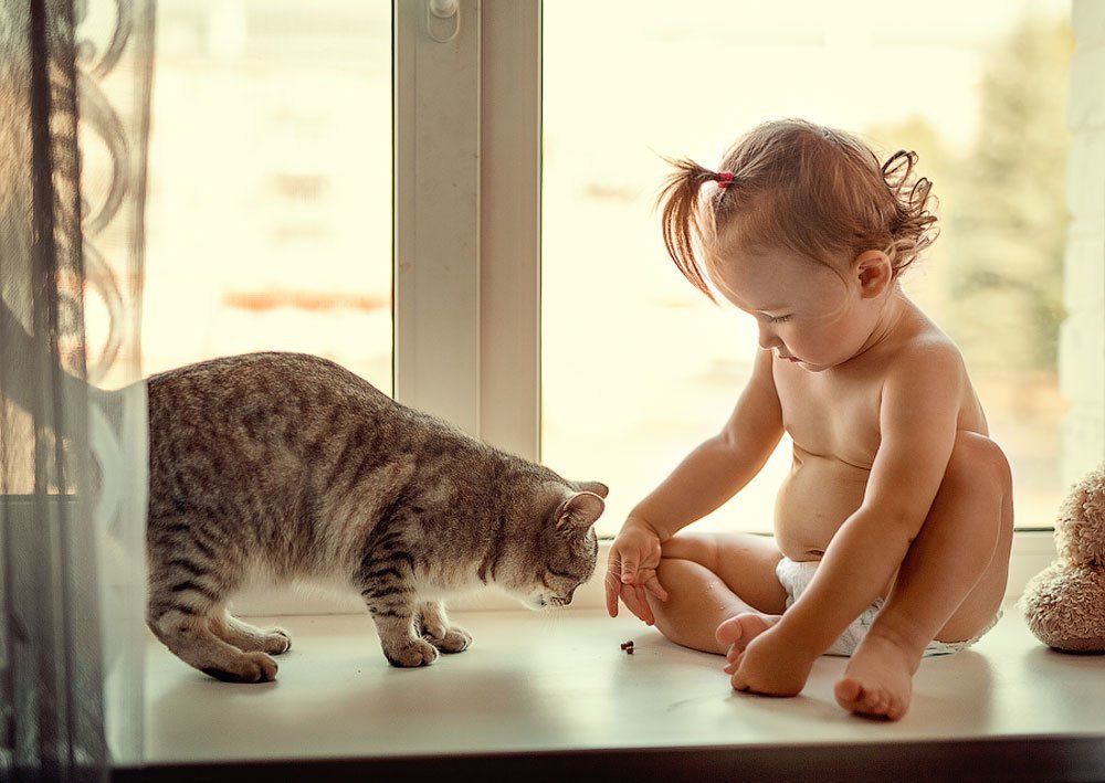 Photograph by Ольга Лебедева