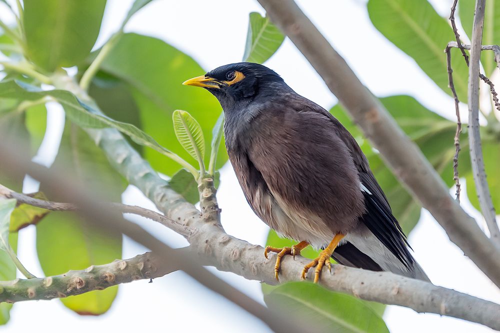 Photograph by Марина