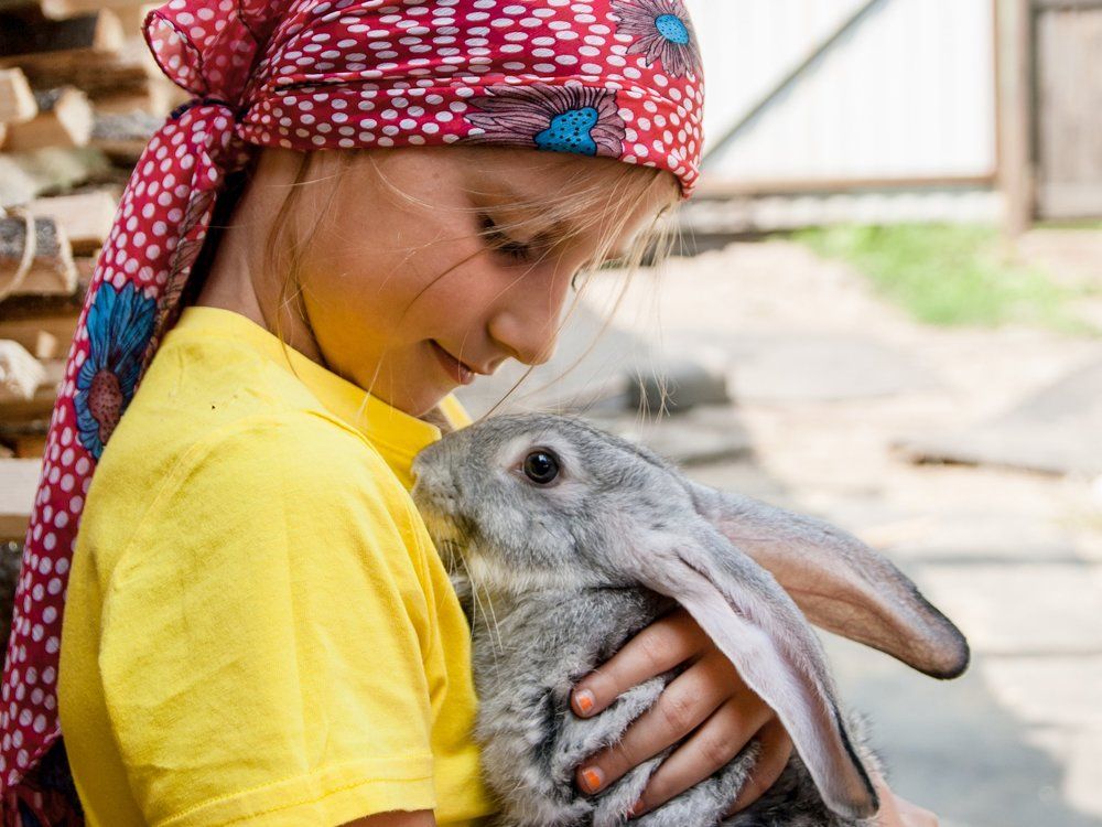 our smaller brothers