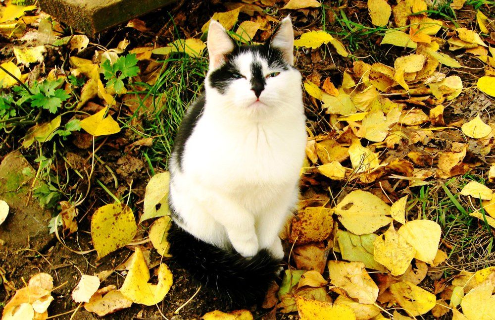 просто красавица