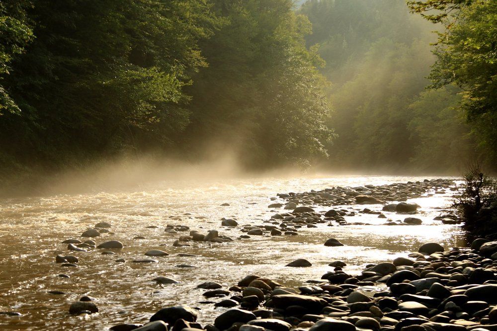 После дождя.