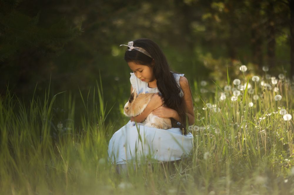 В страну чудес