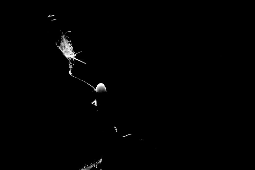 Photograph by vivek kakadiya