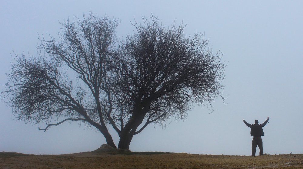 men praying amid the fog