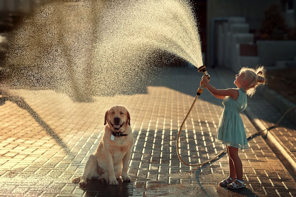 Photograph by Мария Хан