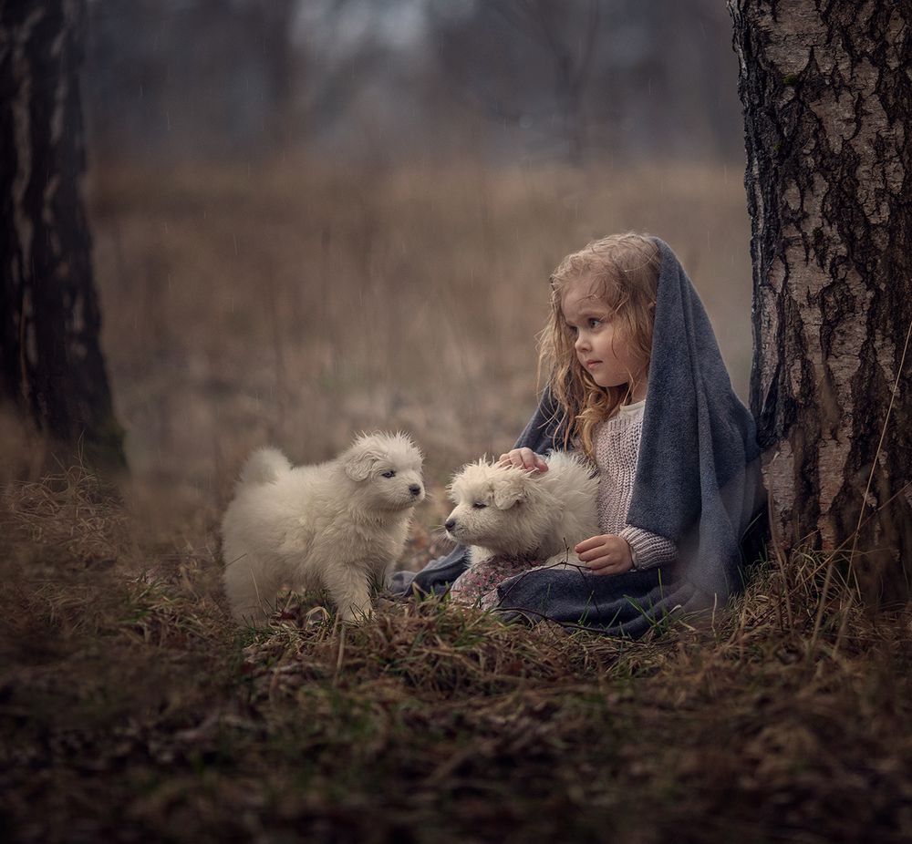 Фотография автора Дарья Степанова