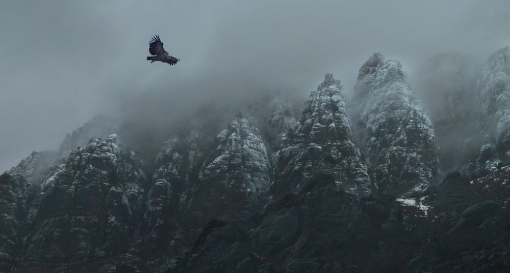 Фотография автора Владимир Метцгер