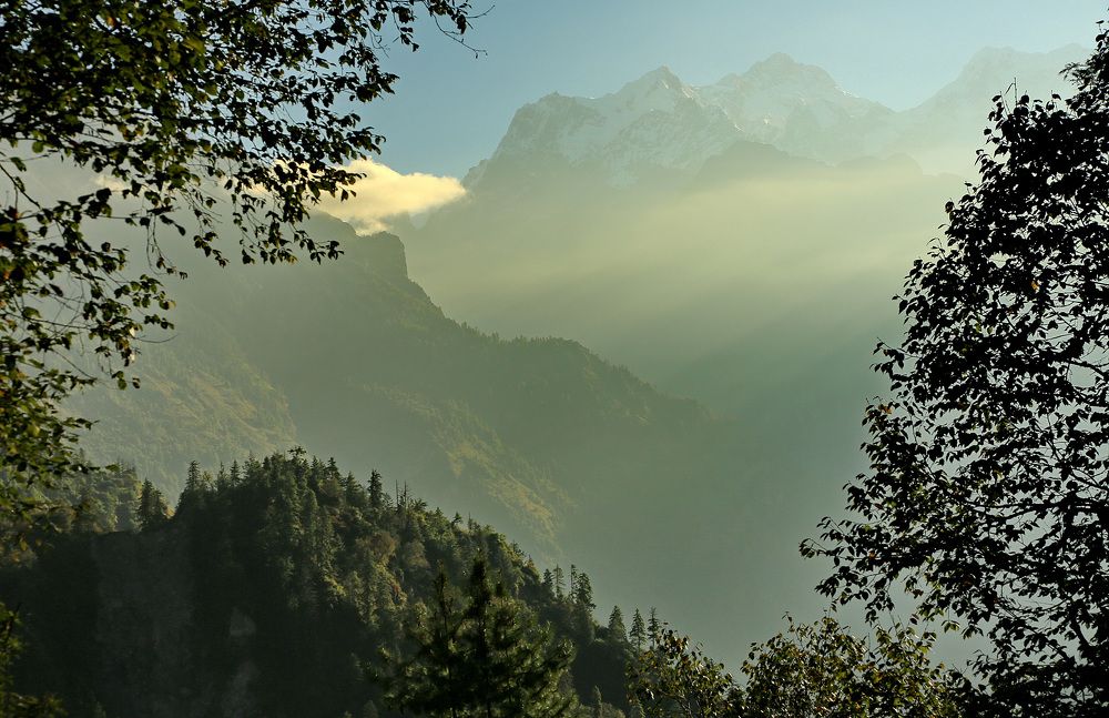Туманное утро в горах