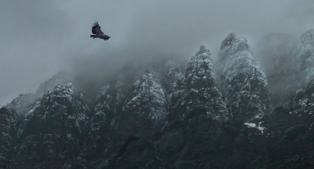 Хозяин ущелья