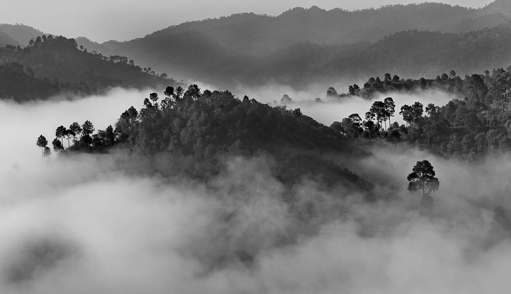 Туманное утро в горах (2)