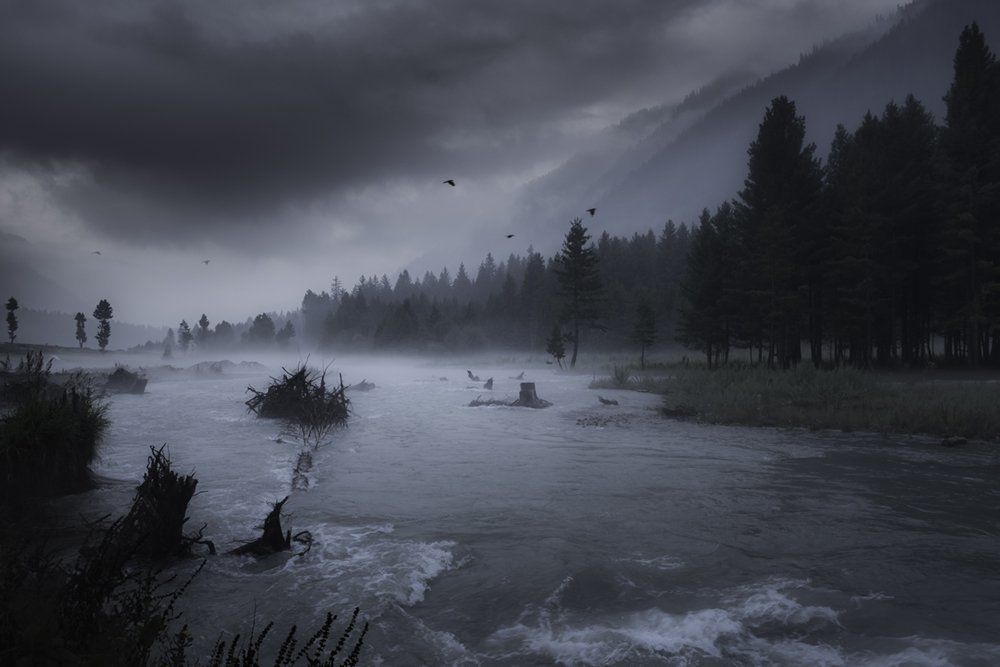 Poetry of the Earth (A)