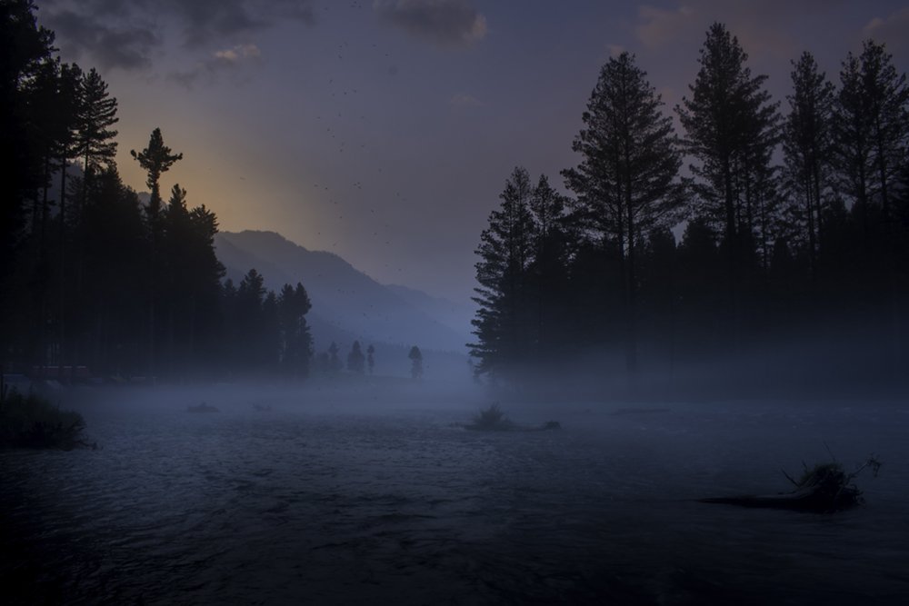 Poetry of the Earth (B)