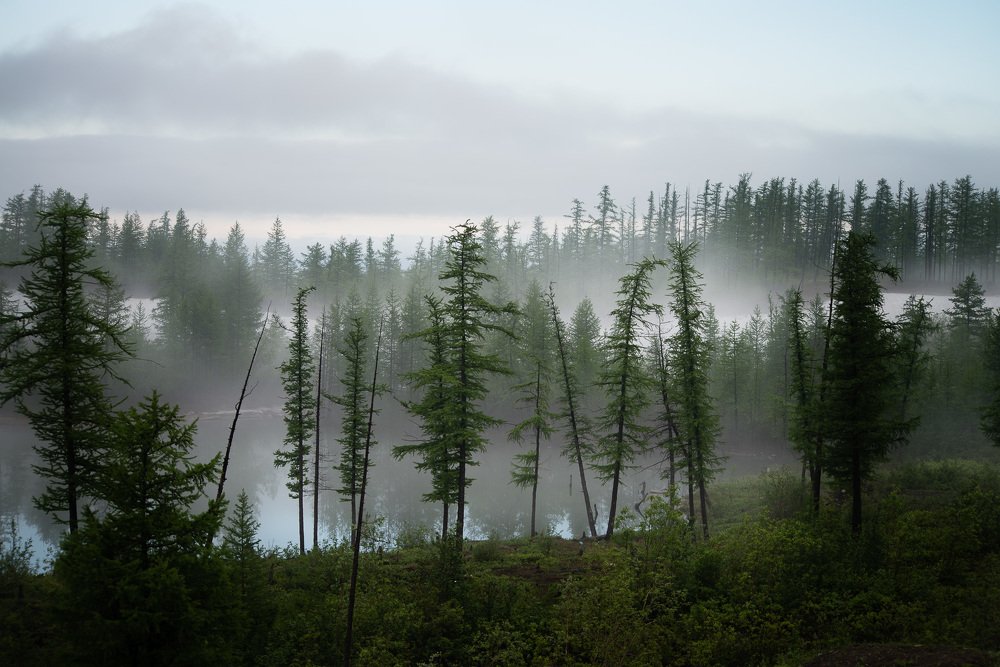 ТУманный Талнах