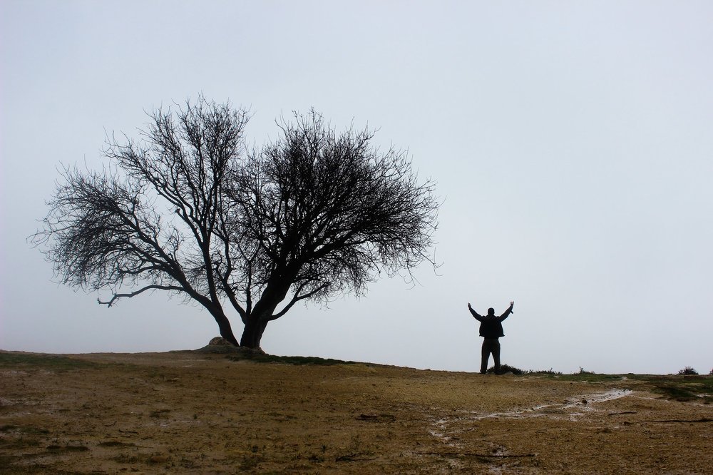 men praying amid the fog