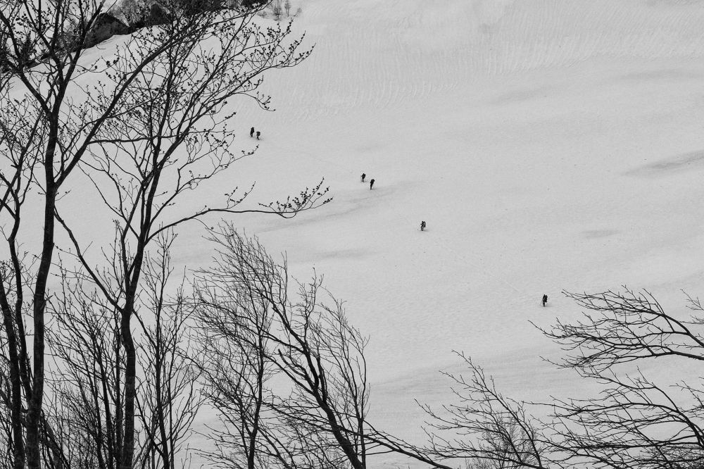 Photograph by Александр Пиленгас