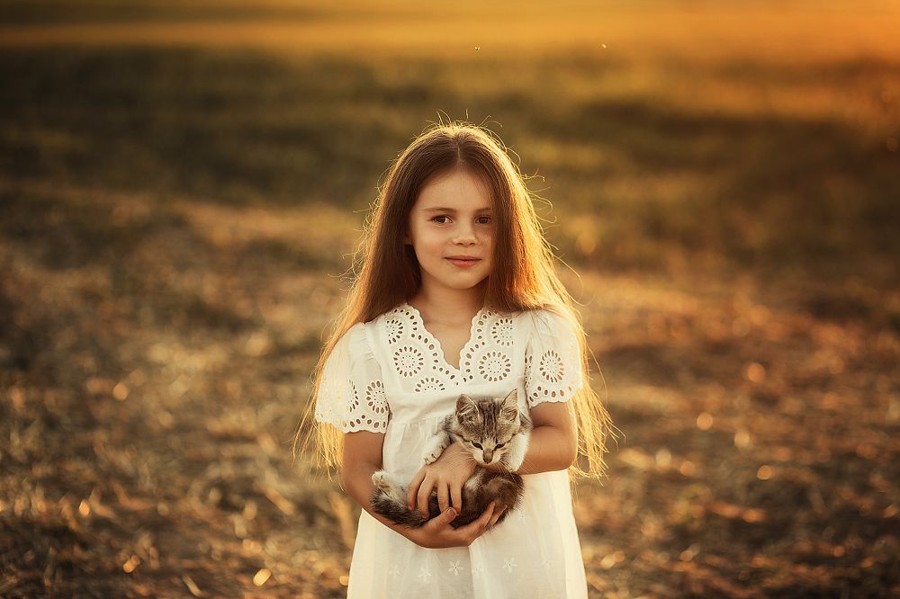 В лучах солнца