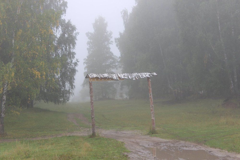 Входите... в туман