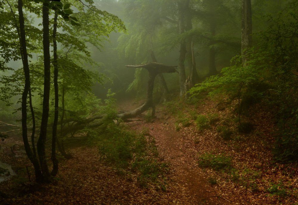 Встреча с Дракошей