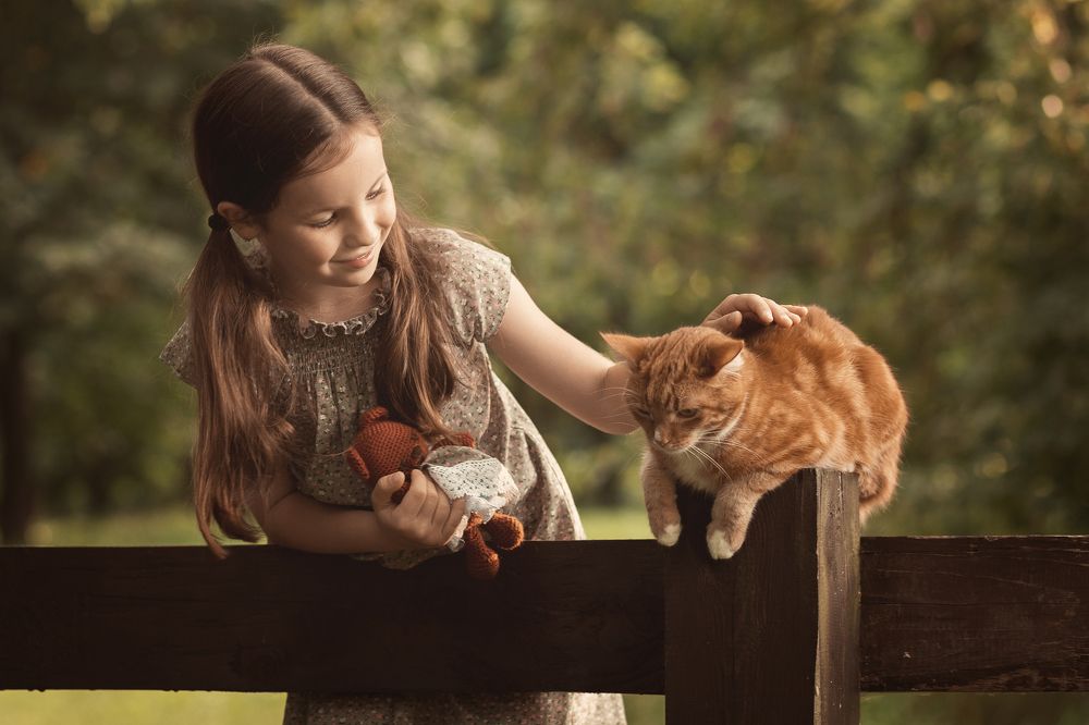 Привет, дружок