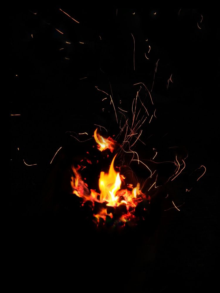 Ayahuasca