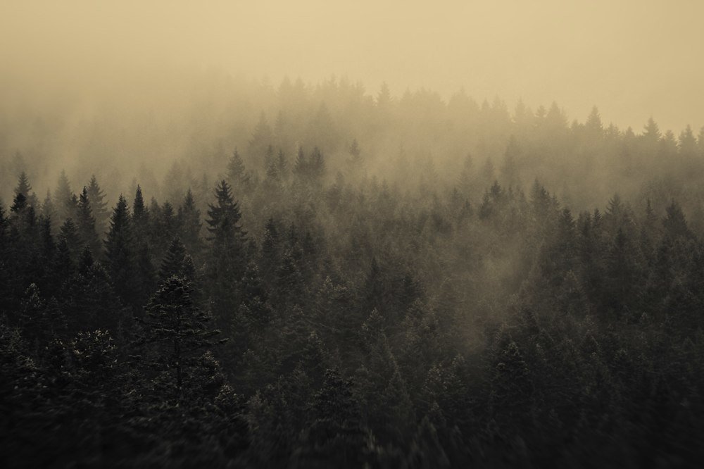 Montenegro in the fog