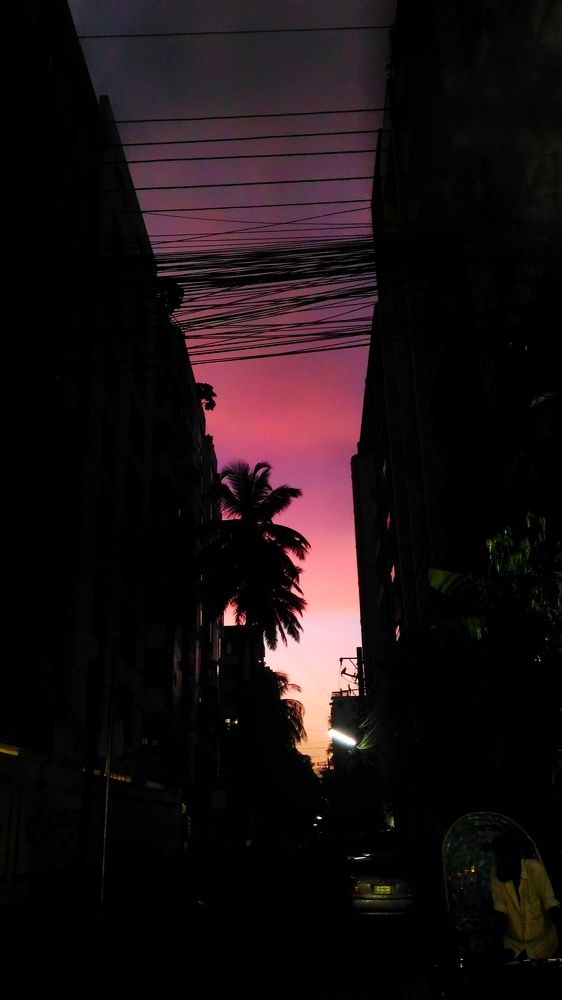 Beauty is everywhere