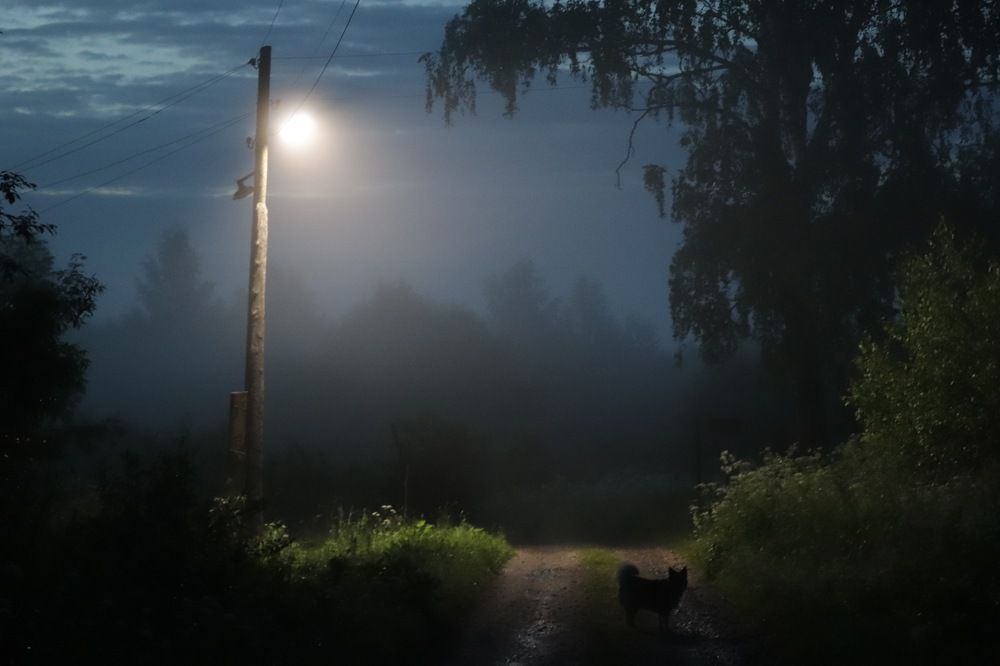 только мы с конем