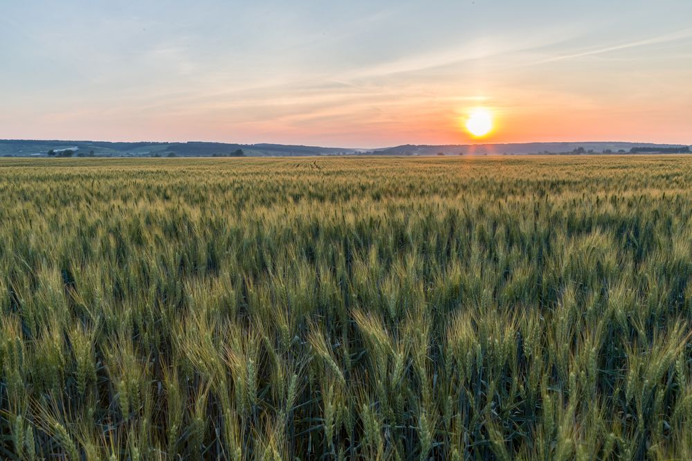 Photograph by Антон Кривошейцев