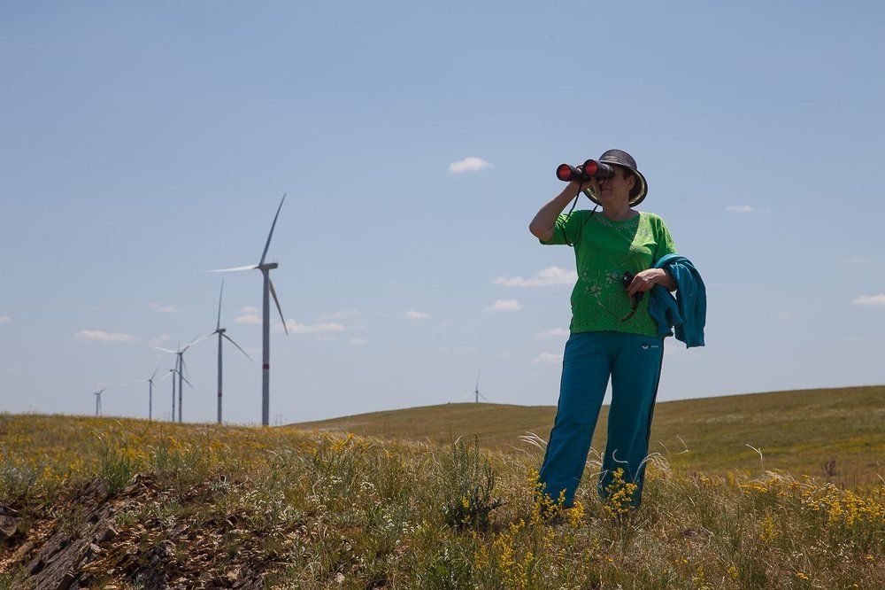 Возможно на границе электрической степи есть заливные луга?