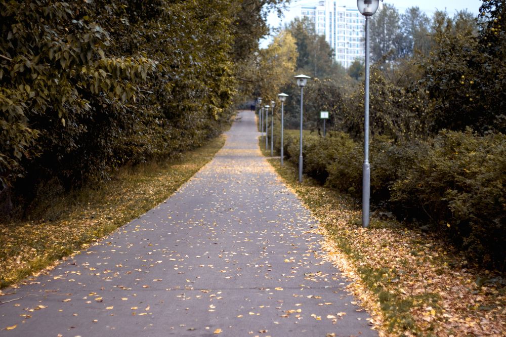 Photograph by Олег