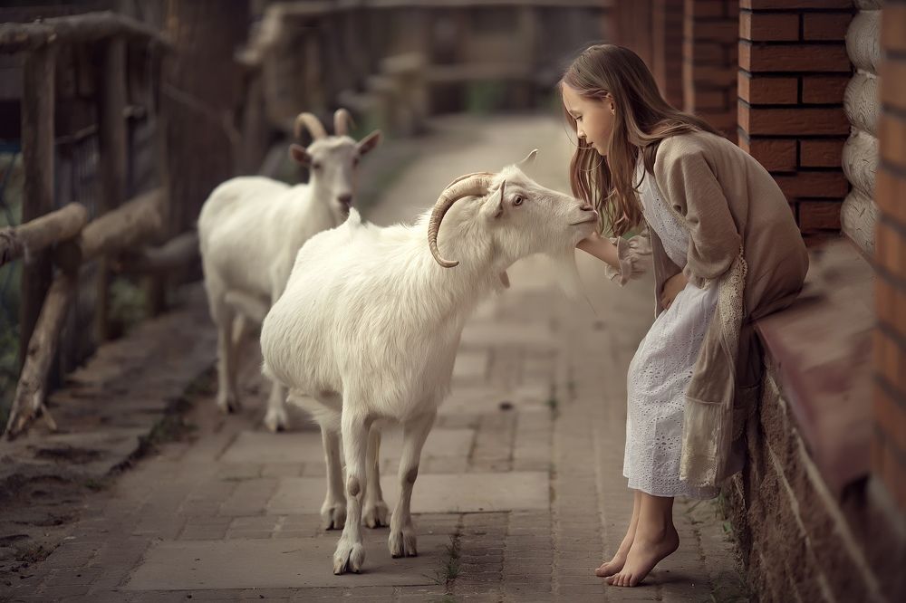 Photograph by Екатерина