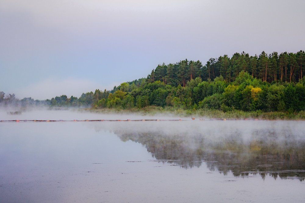 Туманное утро