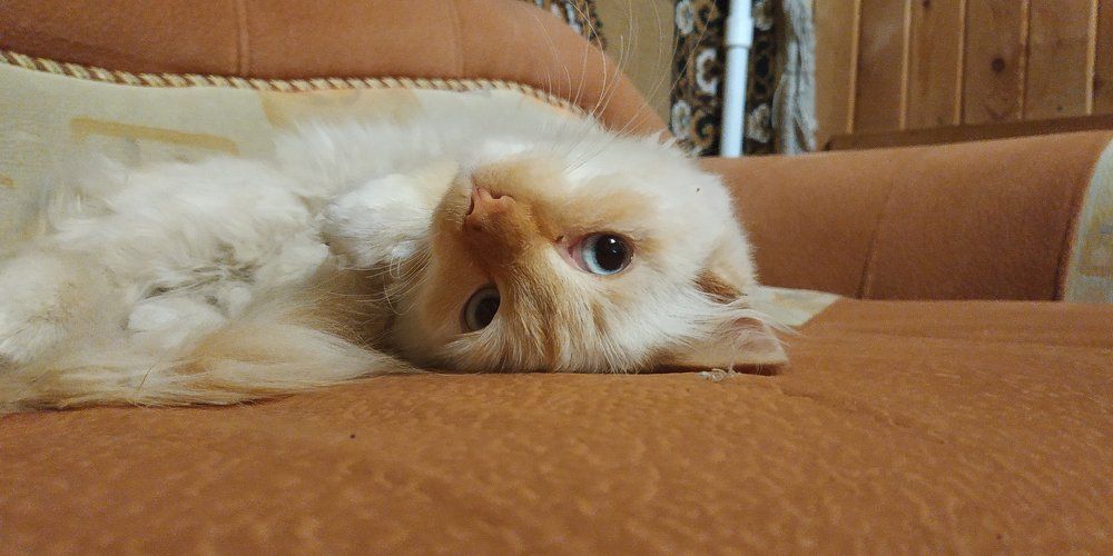 Photograph by Иван Суханкин