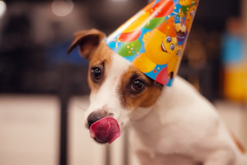 Photograph by Ирина Сергеевна Лозовая