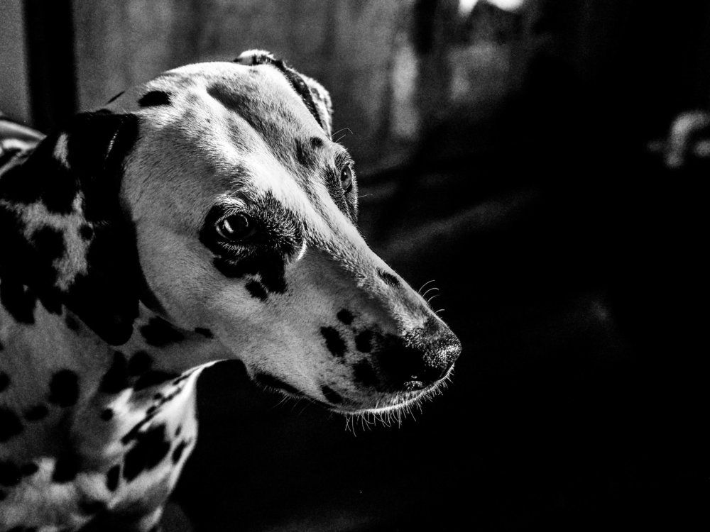 Photograph by Влад Имиров