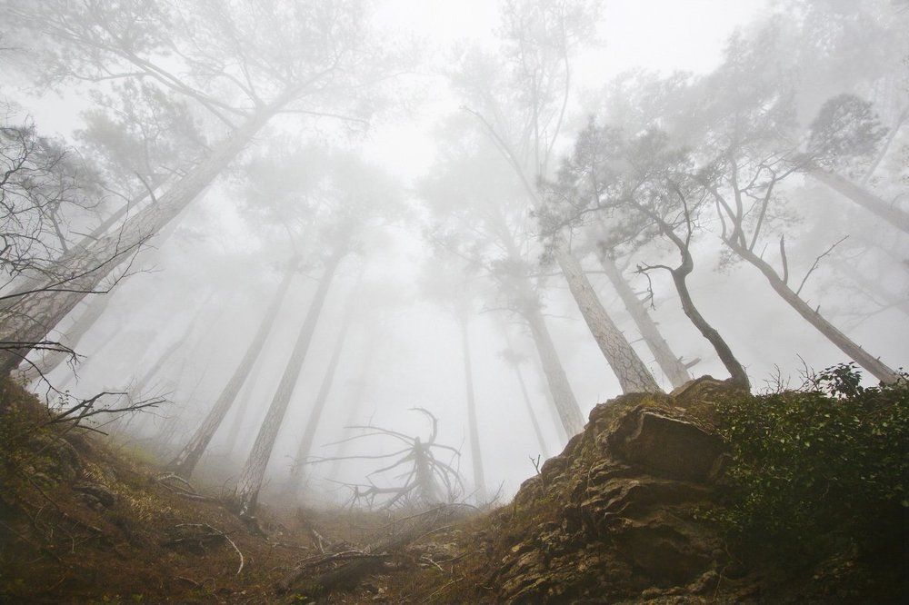 Photograph by Владимир Бочковский